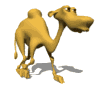 tiere-camel